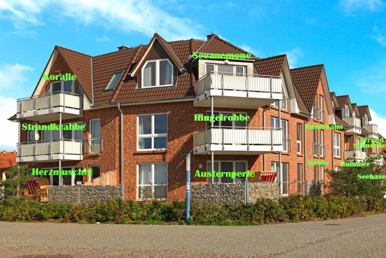 Haus Suedwester Hummer 인젤 포엘 외부 사진